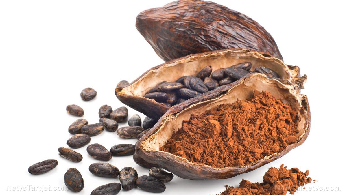 Stressed Out Cacao Trees Produce More Nutritionally Potent Chocolate