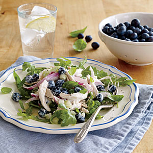 creamy-blueberry-chicken-salad-ck-x