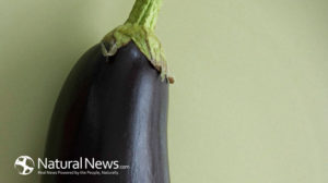 Eggplant-Purple-Plate-Vegetable-650X-2