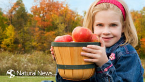 girl-with-apples-happy-healthy-650x-2